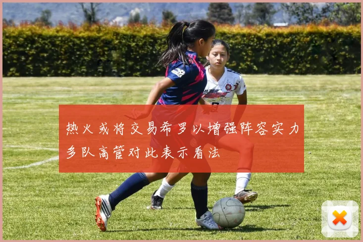 热火或将交易希罗以增强阵容实力多队高管对此表示看法
