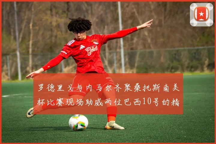 罗德里戈与内马尔齐聚桑托斯南美杯比赛现场助威两位巴西10号的精彩时刻