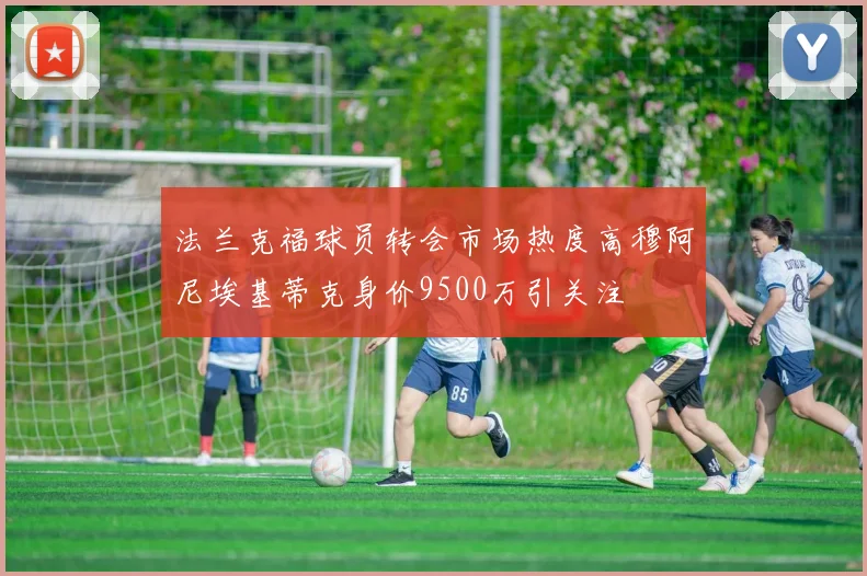 法兰克福球员转会市场热度高穆阿尼埃基蒂克身价9500万引关注